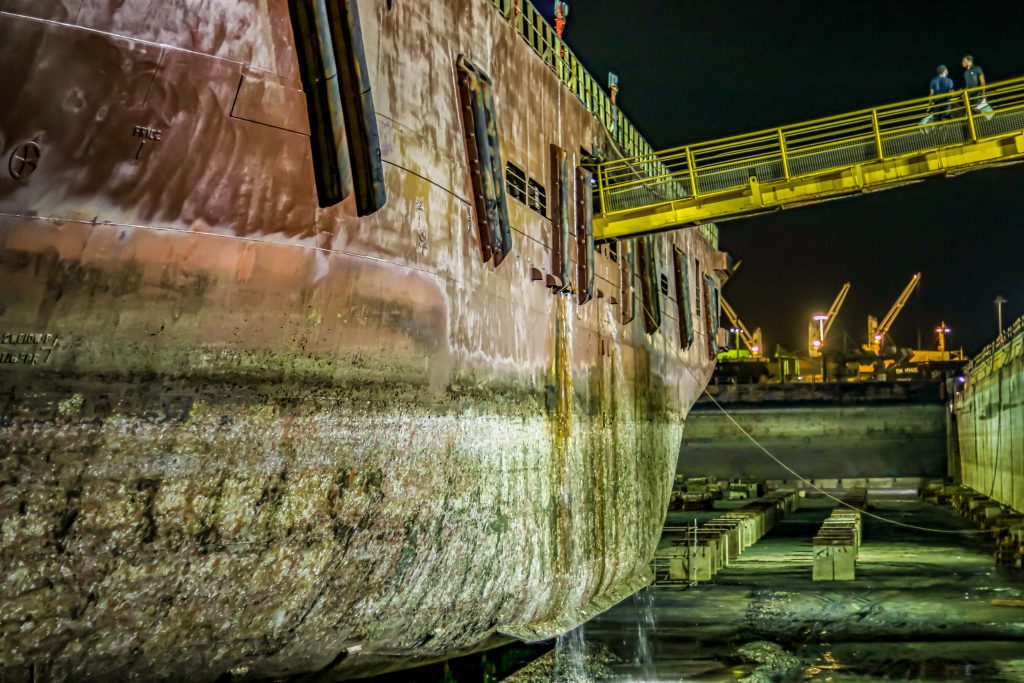 MDPL Anjali 9884 1024x683